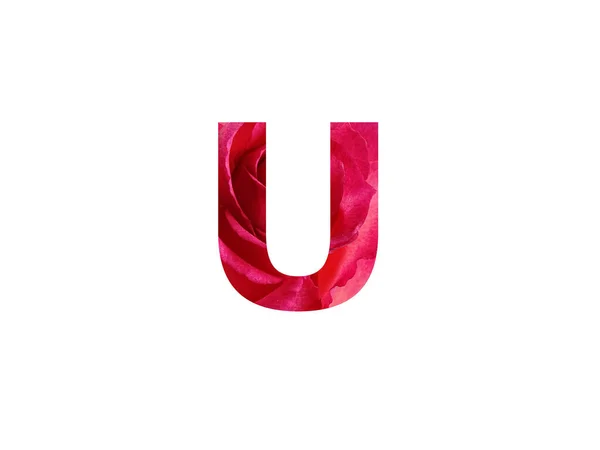 Буква Алфавита Сделанная Фотографией Красной Розы Выделенной Белом Фоне — стоковое фото