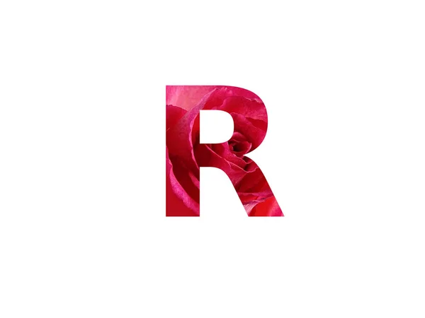 白い背景に孤立した赤いバラの写真で作られたアルファベットの文字R — ストック写真