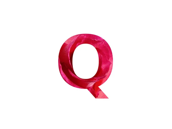 字母Q由红玫瑰的照片制成的字母Q 用白色背景隔开 — 图库照片