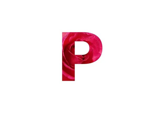 白い背景に孤立した赤いバラの写真で作られたアルファベットの文字P — ストック写真
