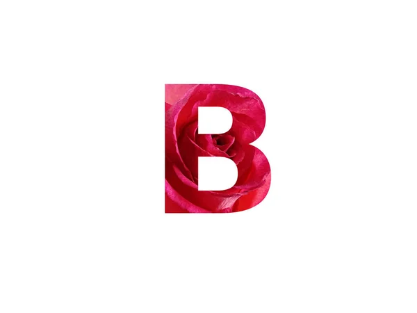 白い背景に孤立した赤いバラの写真で作られたアルファベットの文字B — ストック写真