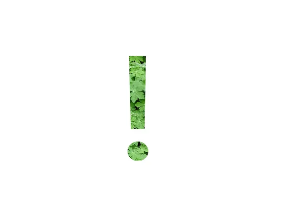 Utropstecken Alfabetet Gjort Med Grönt Blad Geranium Anläggning Isolerad Vit — Stockfoto