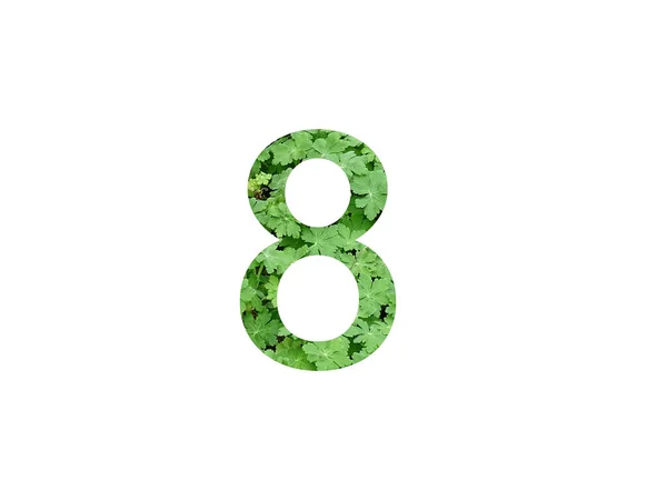 Νούμερο Του Αλφαβήτου Φτιαγμένο Πράσινο Φύλλο Από Φυτό Γεράνι Απομονωμένο — Φωτογραφία Αρχείου
