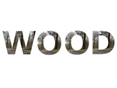 Tahta; ormanda kum yolu ile yapılmış alfabenin harfleri ile yapılmış metin, yeşil, sarı ve beyaz renkler, beyaz arka planda izole