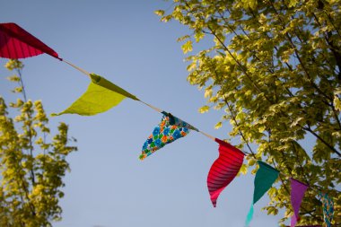 taxi tagsçok renkli bayraklar