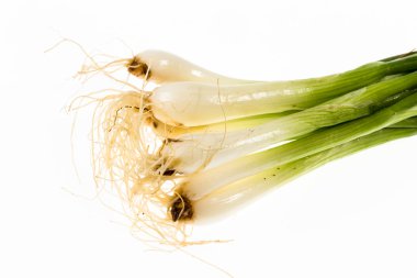 Taze soğan kök beyaz arka plan üzerinde kapat