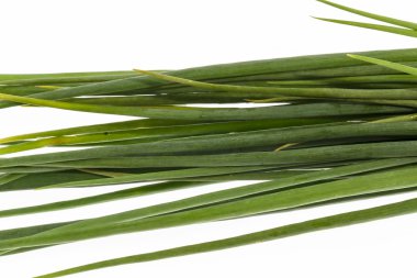 Taze soğan yaprağı yan görünümünü kapat