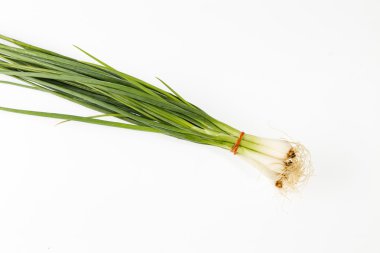 Taze soğan gelgit elastik bant ile grup