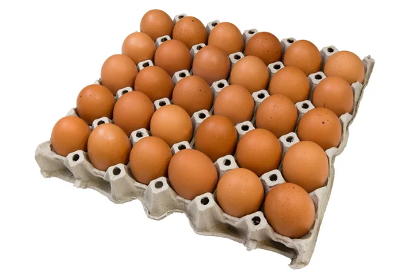 Група яєць на картонній тарі Стокова Картинка