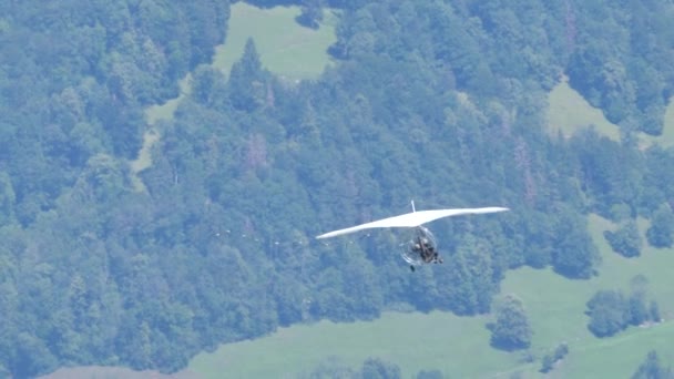 Französischer Ornithologe Moullec fliegt verblüffend nah an Gänsen vorbei — Stockvideo