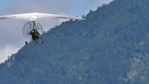 Moullec beroemde Franse vogelman in vlucht met een kudde zeldzame vogels van achteren — Stockvideo