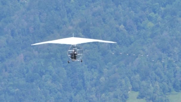 Tolles Video eines Ulms im Flug in Formation mit seltenen Zuggänsen — Stockvideo