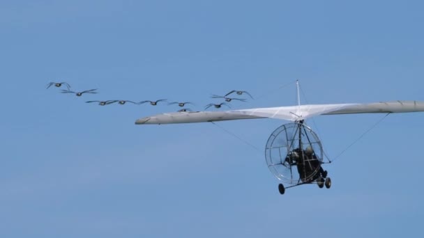 Moullec berühmter französischer Vogelmann im Flug mit einem Schwarm seltener Vögel von hinten — Stockvideo