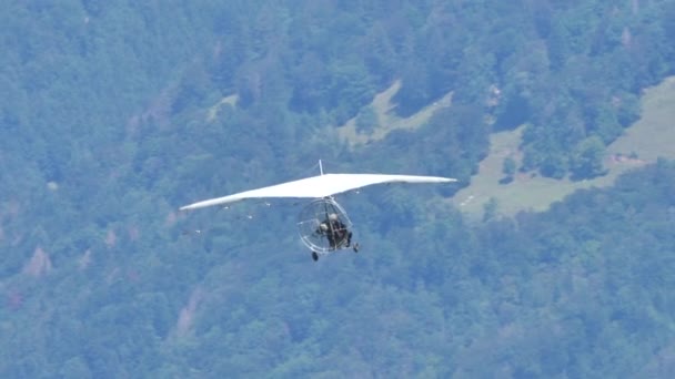 Voler avec les oiseaux. Berühmter Vogelmann Moullec Drachenflieger fliegt mit Vögeln — Stockvideo