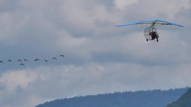 Seltene Zugvögel im Flug mit dem Ultraleichtflugzeug Moullec — Stockvideo