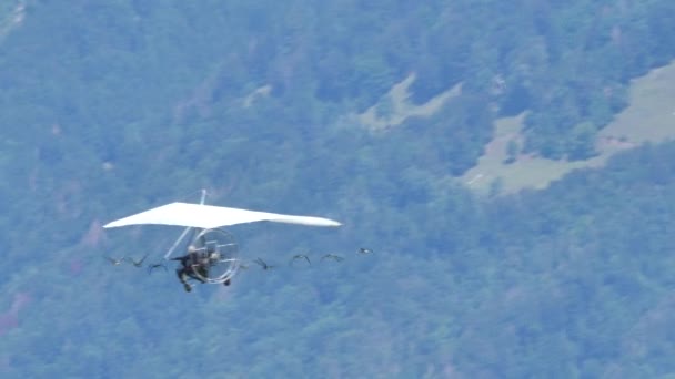 Moullec célèbre aviateur français en vol avec un troupeau d'oiseaux rares — Video