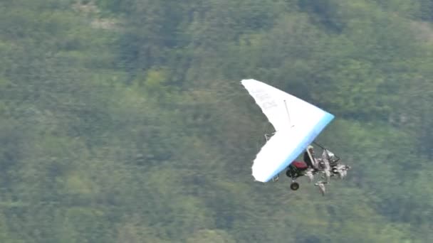 Moullec beroemde Franse vogelman in vlucht met een kudde zeldzame vogels close-up — Stockvideo