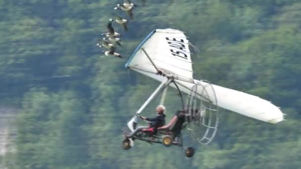 Atemberaubende Nahaufnahme des französischen Vogelmenschen Moullec im Flug mit einem Schwarm seltener Vögel — Stockvideo