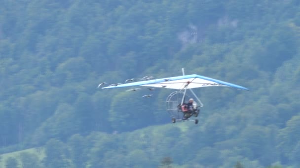 Moullec célèbre aviateur français en vol avec un troupeau d'oiseaux rares — Video