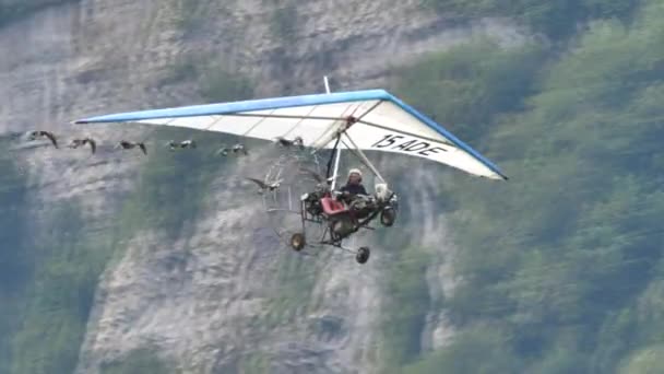 Erstaunlicher Moullec berühmter französischer Vogelmann im Flug mit einem Schwarm seltener Vögel — Stockvideo