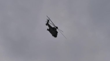 Eurocopter Airbus Helikopterleri AS 532 İsviçre Hava Kuvvetleri Süper Puma Ekibi