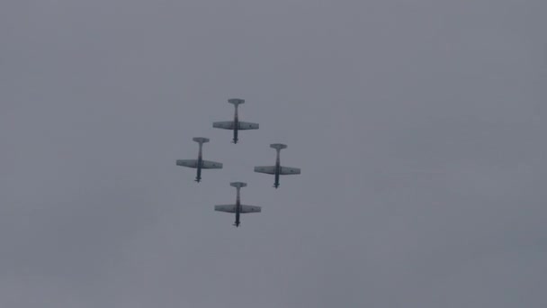 Quatre avions à hélices effectuent des manœuvres de voltige dans une vallée de montagne verdoyante — Video