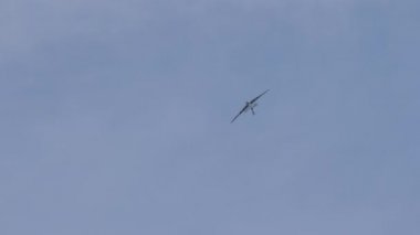 Vintage pervane savaş uçağı bir rulo yapıyor. 