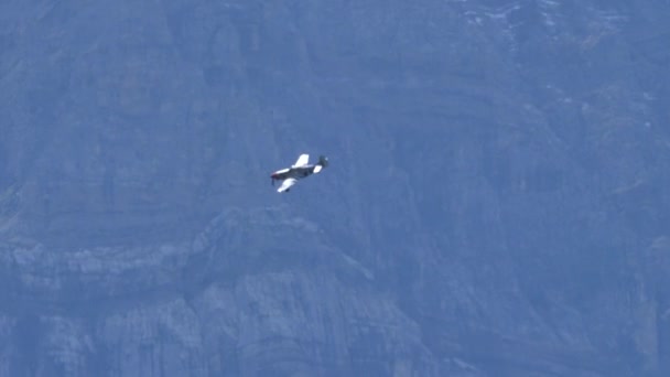 Быстрый рестро блестящий металлический самолет летит на зеленом фоне гор — стоковое видео