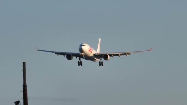 Airbus A330 från Jet2.com sjönk i luften när han närmade sig Lanzarotes flygplats — Stockvideo
