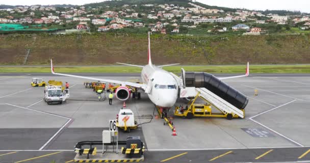 Bodendienst bei der Ankunft der Boeing 737 von Air berlin — Stockvideo