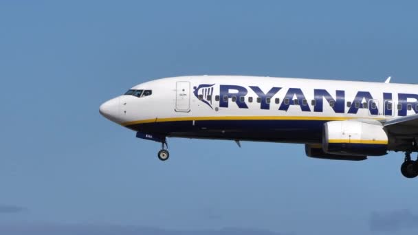 Flygbolaget Ryanair. Boeing 737-800 landar på Lanzarotes flygplats — Stockvideo