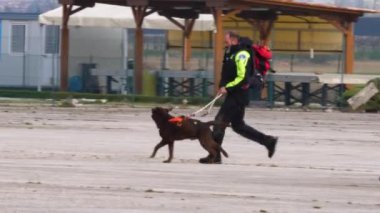 Kurtarma ekibi tasmalı arama kurtarma köpeğiyle koşuyor.