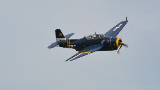 Alte Flugzeuge aus dem Zweiten Weltkrieg, die im Pazifik gegen die Japaner kämpften — Stockvideo