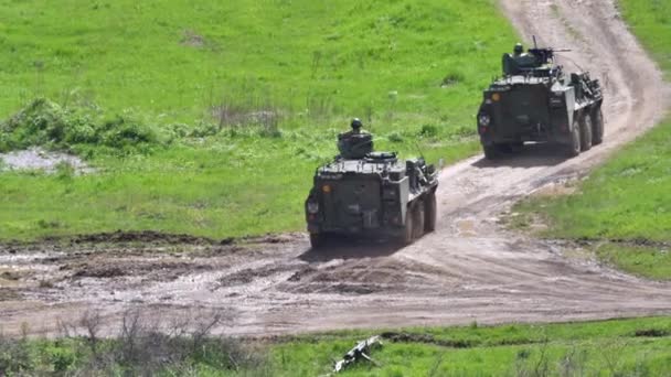 Askeri tanklar Pandur APC askeri nakliye araçları çamurlu yolda ilerliyor. — Stok video