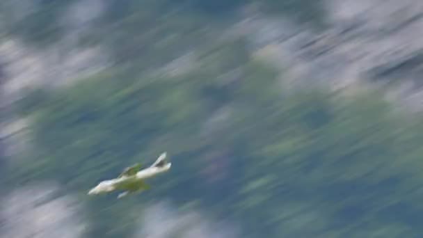 Avion à réaction militaire se déplaçant à grande vitesse dans une vallée alpine verte — Video