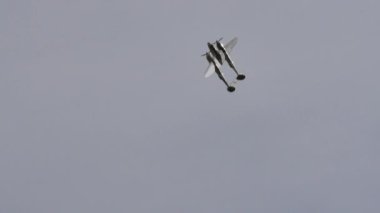 Lockheed P-38 Kızıl Boğa Şimşeği Mavi gökyüzünde uçan boğalar