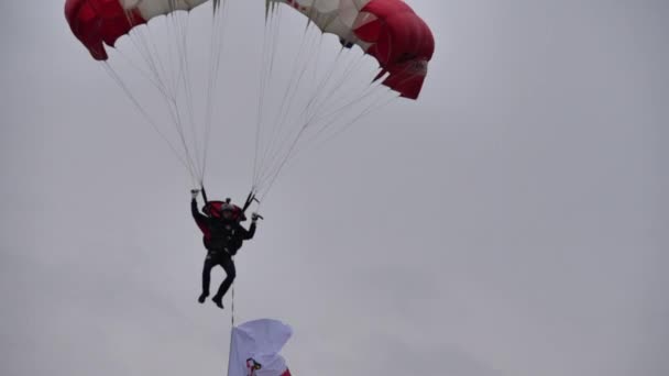 Close up of a skydiver landing — Stock Video