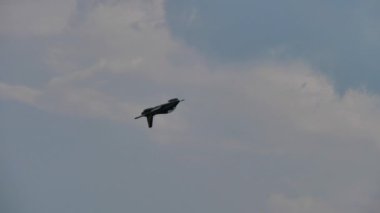 Askeri jet uçağı düşük irtifada ve yüksek hızda bir seri dönüş yapar.