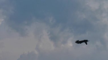 Uçak gökyüzünde yavaşça yuvarlanıyor.