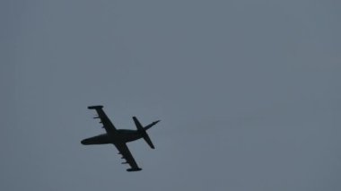 Maribor Slovenya AUGust, 15, 2021 Aero Vodochody L-159 ALCA savaş uçağı ve Çek Hava Kuvvetleri eğitmeni 