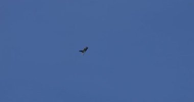 ZAGREB, CROATIA - 11 Mayıs 2024: Bir Mikoyan-Gurevich MiG-21 Fishbed savaş uçağı, Soğuk Savaş döneminden kendine özgü delta kanat aerodinamik tasarımını sergiliyor.