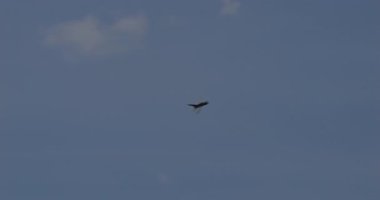 Zagreb Hırvatistan 11 Mayıs 2024: Soğuk Savaş havacılığını temsil eden açık mavi gökyüzünde uçan Sovyet dönemi savaş uçağı. Tarihi belgeseller için mükemmel. Hırvat Hava Kuvvetleri 'nden Mikoyan MiG-21 Balıkyatı.