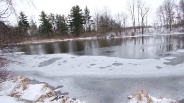 Dorchester, Kanada, 20 Ocak 2021: Donmuş Göl ve Ördeklerin editörlük videosu