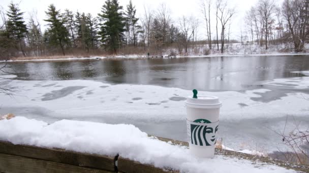2011年1月20日カナダ、ドーチェスター:水で凍結池の編集ビデオ — ストック動画