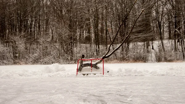 Mini hockey net perched against large tree branch. Ontario, Canada hockey rink on frozen pond. — Stock Photo, Image