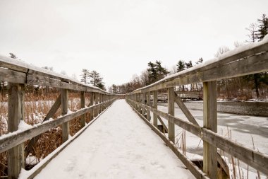 Ontario, Kanada 'da Londra' da ormandaki ahşap yolu kar kapladı. Soğuk kış günü kasvetli gökyüzü ve çıplak kahverengi ağaçlarla.