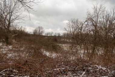 Hamilton, Kanada 'da soğuk kış günü. Bruce yürüyüş yolunda karlar ve ağaçlar kaplandı. Kahverengi ağaçlar ve beyaz kar.