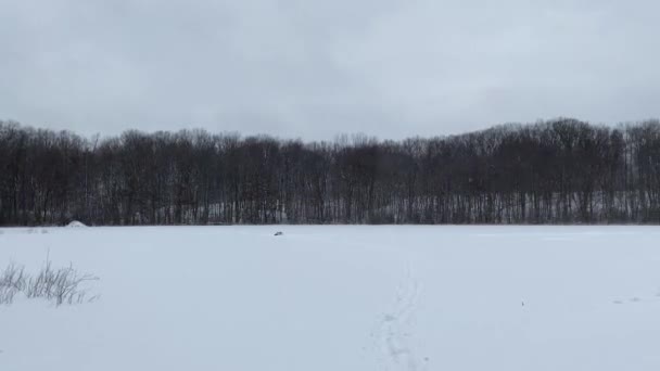 カナダのロンドンで雪に覆われた凍結池のビデオ。凍る池を囲む森の裸の木. — ストック動画