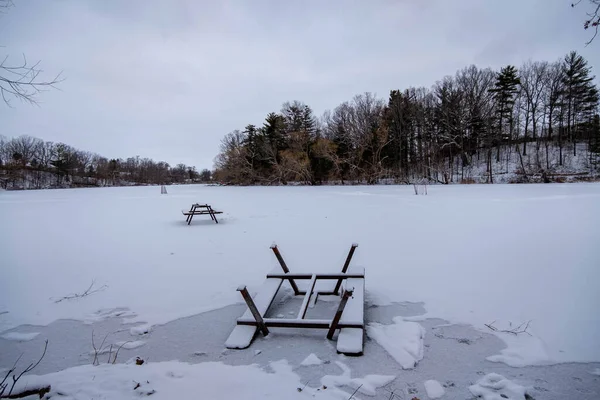 Kanada, Dorchester 'daki donmuş gölette piknik masaları. Ormanda karla kaplı buz.
