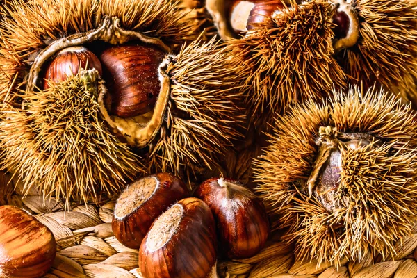 Autumn/Fall Raw Food,Chestnuts — Stock Photo, Image